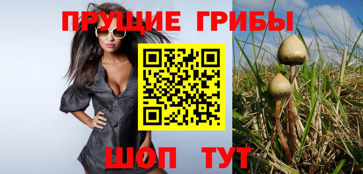 Кириши  Псилоцибиновые грибы Psilocybine cubensis  хочу наркоту  Вход с VPN  Галлюциногенные грибы Magic Shrooms 